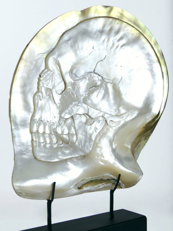 Grande coquille Skull d’huître perlière sculptée (détail)