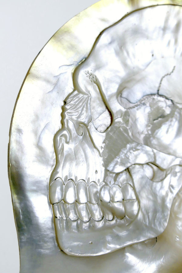 Grande coquille Skull d’huître perlière sculptée (détail)