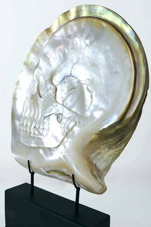 Grande coquille Skull d’huître perlière sculptée (détail)