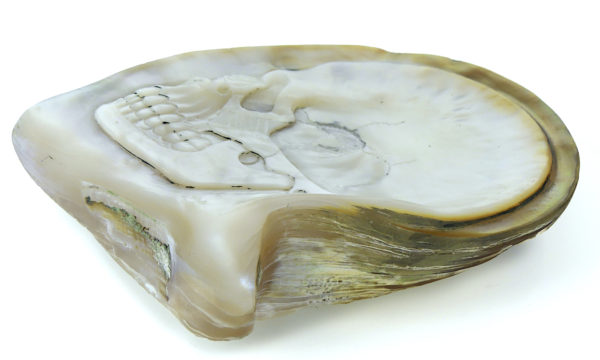 Grande coquille Skull d’huître perlière sculptée (3/4)