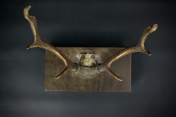 Katana kake massacre de cerf et bois massif Meiji (dessus)