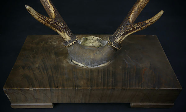 Katana kake massacre de cerf et bois massif Meiji (détail)