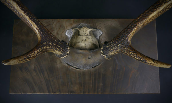 Katana kake massacre de cerf et bois massif Meiji (dessus détail)