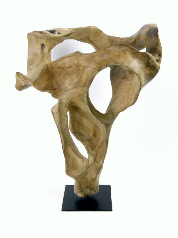 Sculpture racine de teck sur socle (face)
