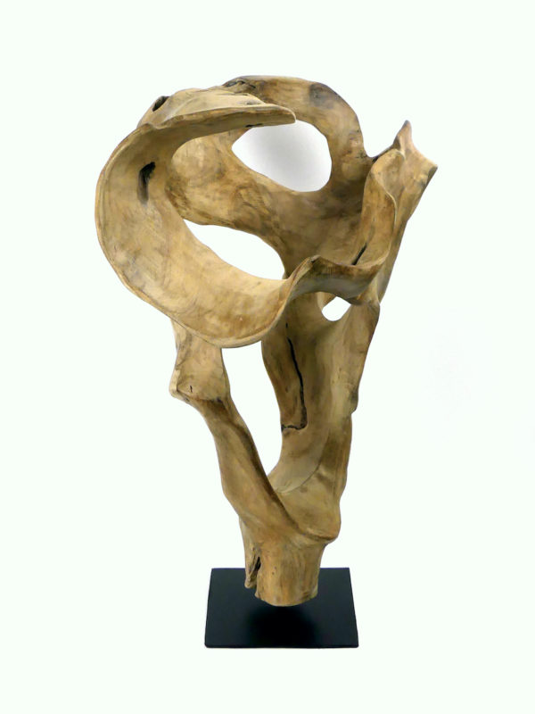 Sculpture racine de teck sur socle (profil)
