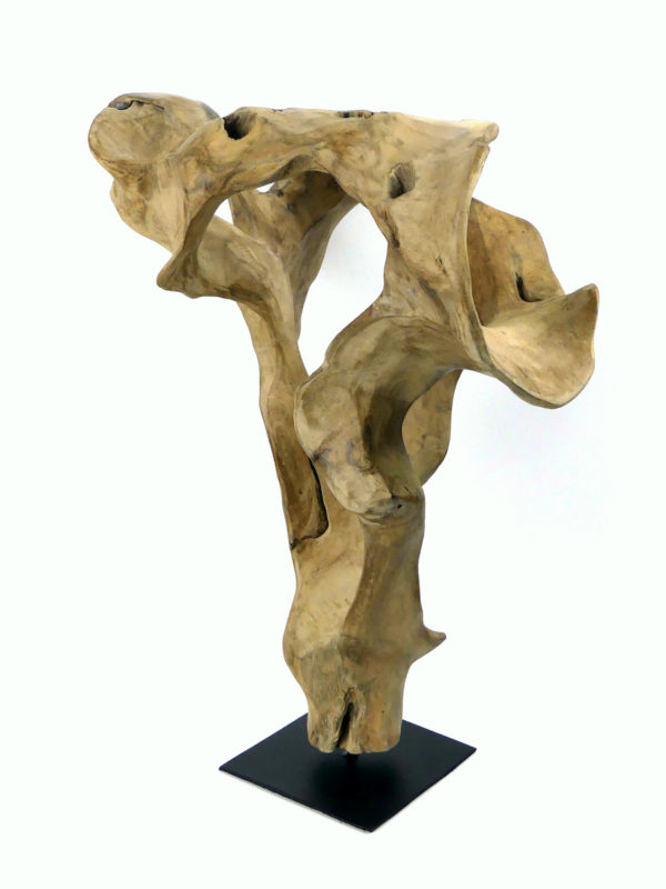 Sculpture racine de teck sur socle (3/4)