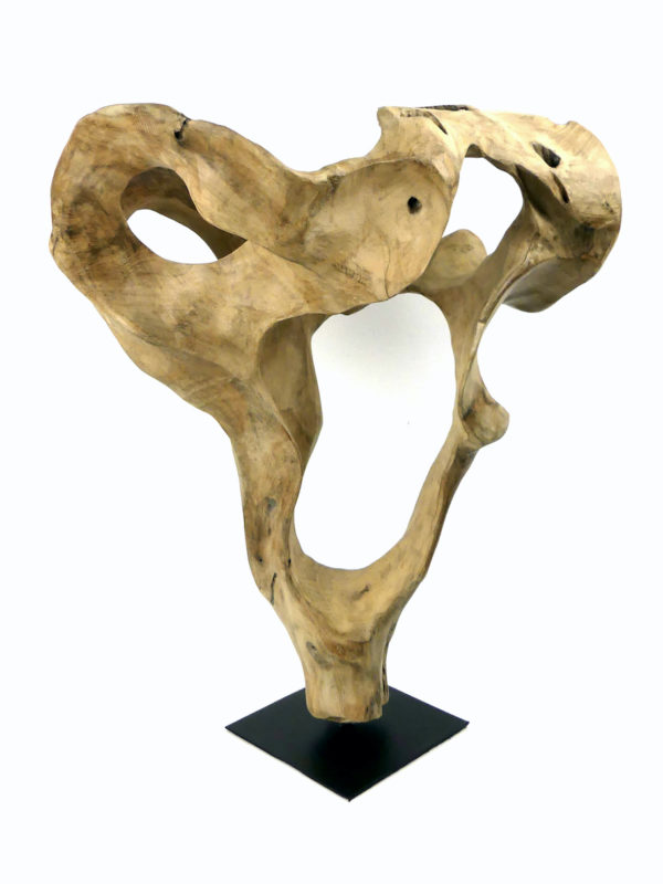 Sculpture racine de teck sur socle (3/4)