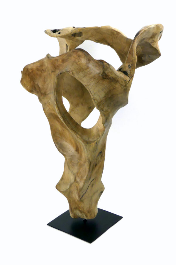 Sculpture racine de teck sur socle (3/4)
