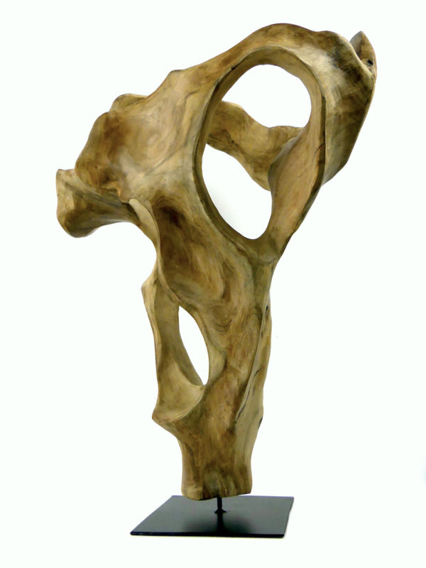 Sculpture racine de teck sur socle (face)