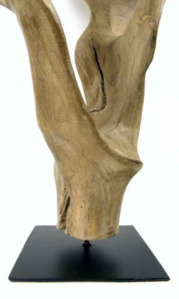 Sculpture racine de teck sur socle (détail)