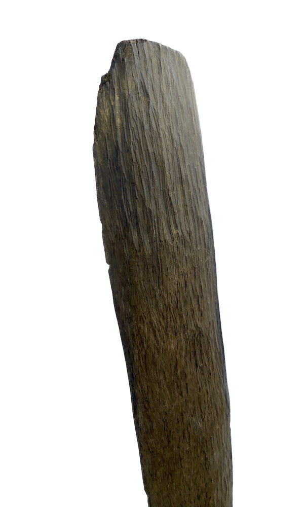 Grand boomerang aborigène ancien en bois dense sur socle (détail)
