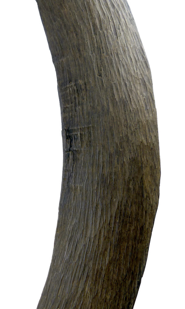 Grand boomerang aborigène ancien en bois dense sur socle (détail)