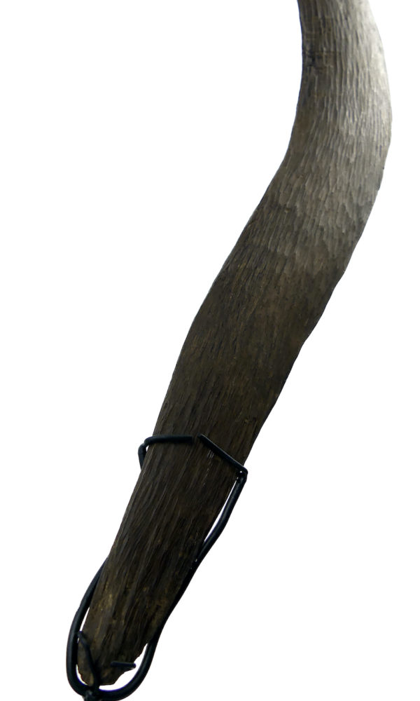 Grand boomerang aborigène ancien en bois dense sur socle (détail)