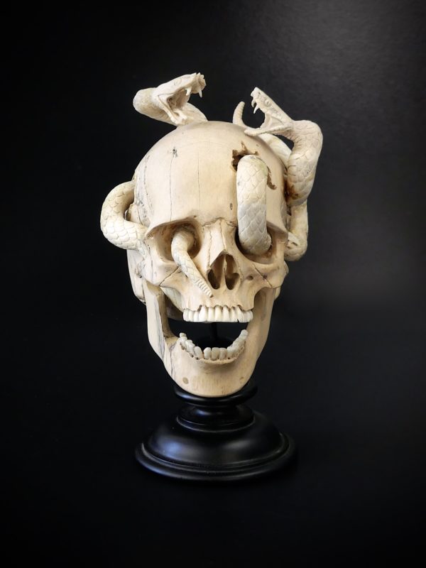 Crâne au deux serpents en bois de tamarin et bois de cerf (face)