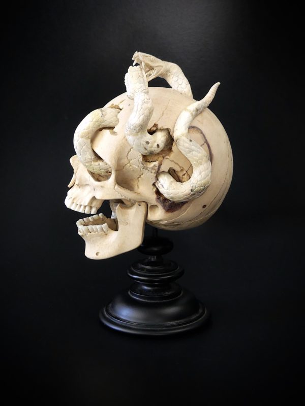 Crâne au deux serpents en bois de tamarin et bois de cerf (profil)