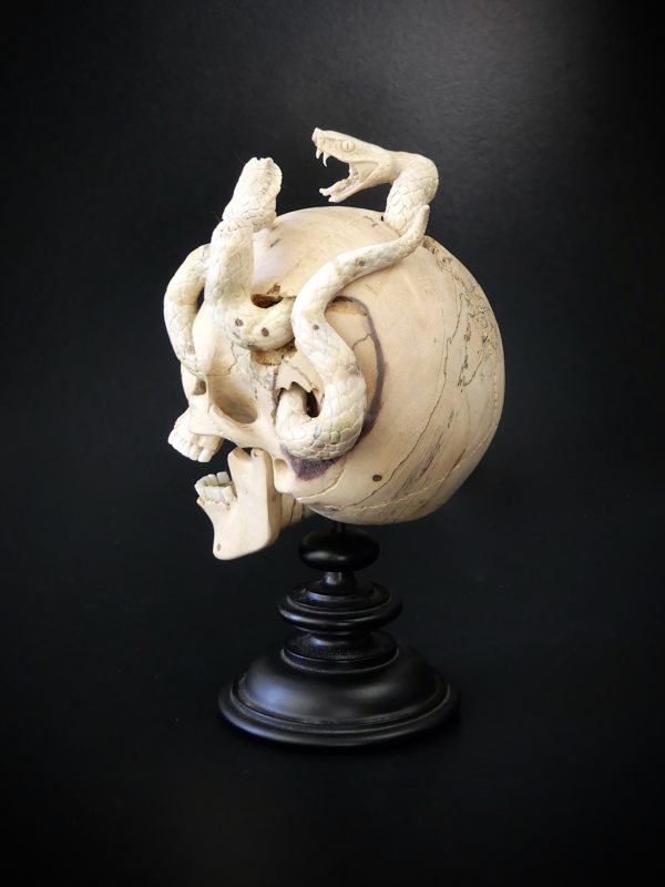Crâne au deux serpents en bois de tamarin et bois de cerf (3/4 dos)