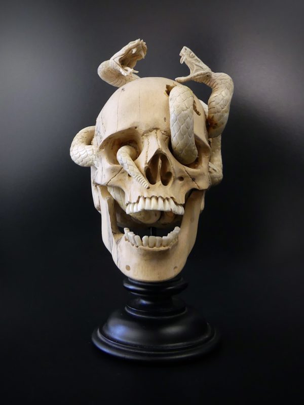 Crâne au deux serpents en bois de tamarin et bois de cerf (face)