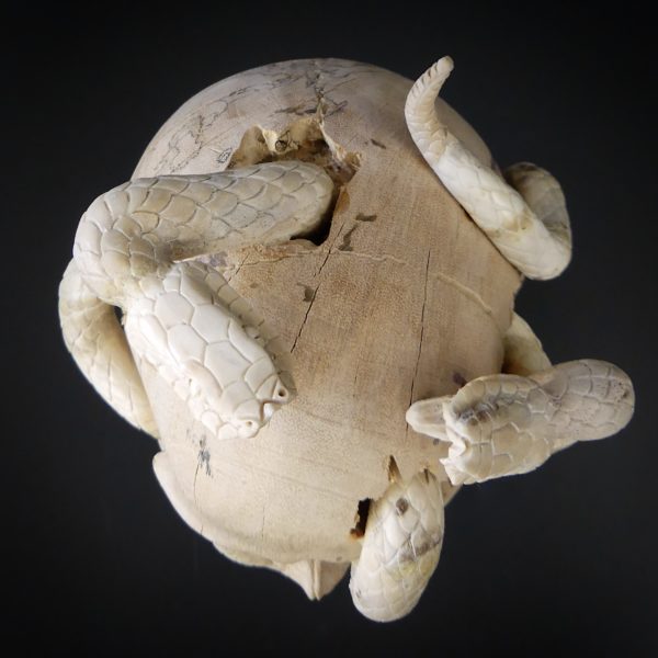 Crâne au deux serpents en bois de tamarin et bois de cerf (dessus)