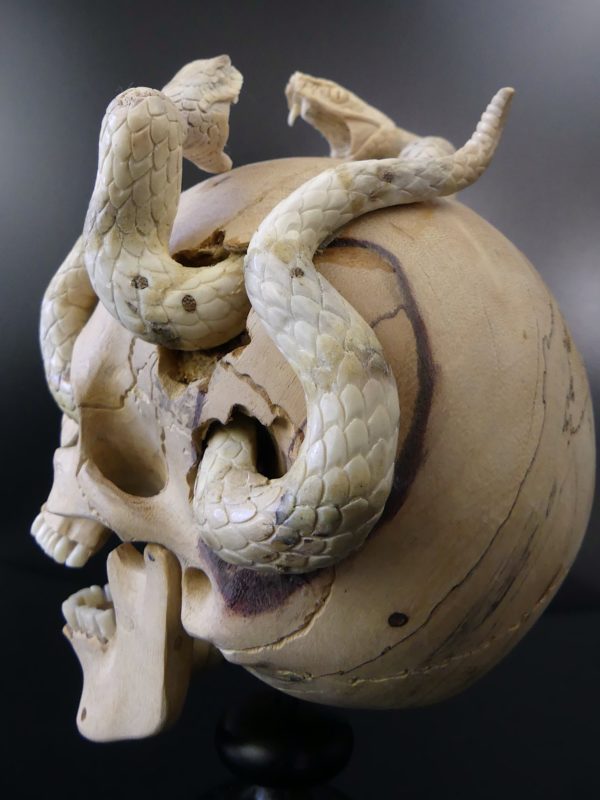 Crâne au deux serpents en bois de tamarin et bois de cerf (3/4 dos)