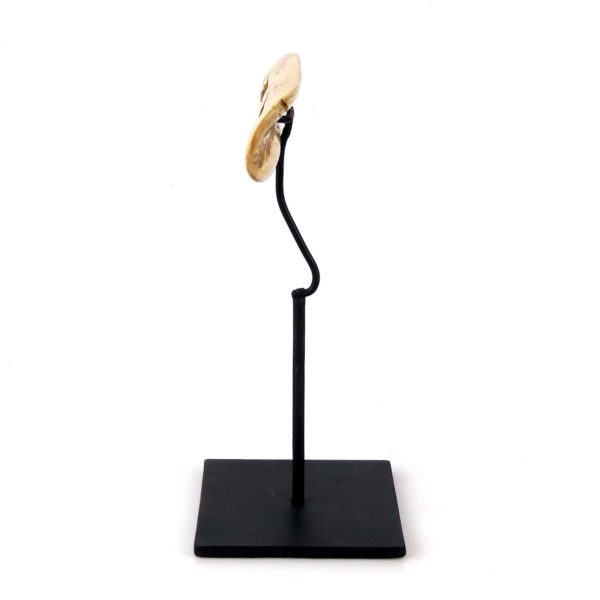 Lunettes des neiges à fentes Nigaugek Yupik (profil)