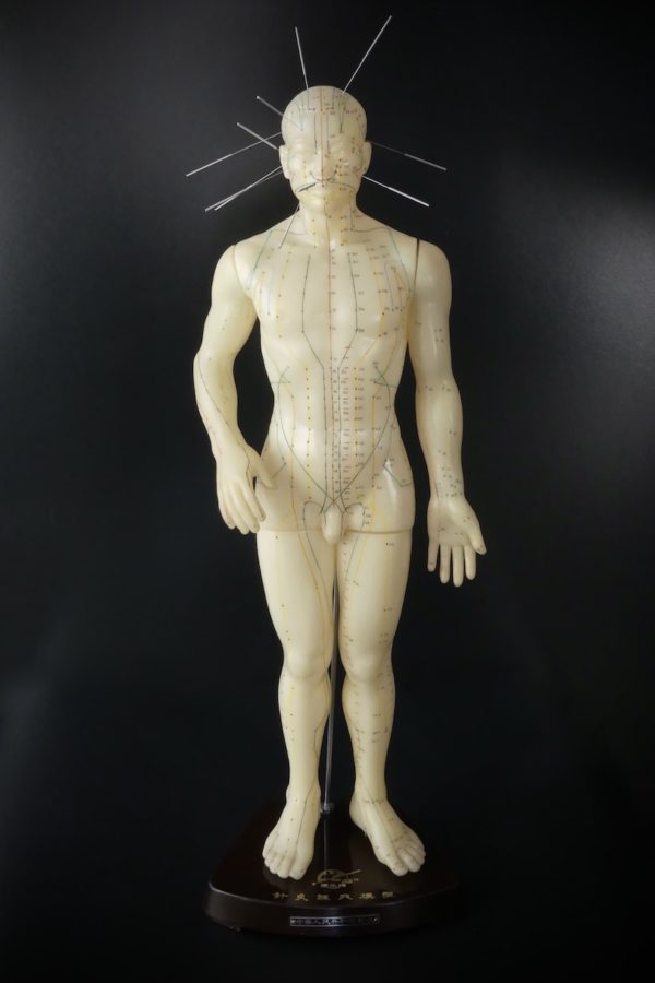 Mannequin d’acupuncture homme chinois (face)
