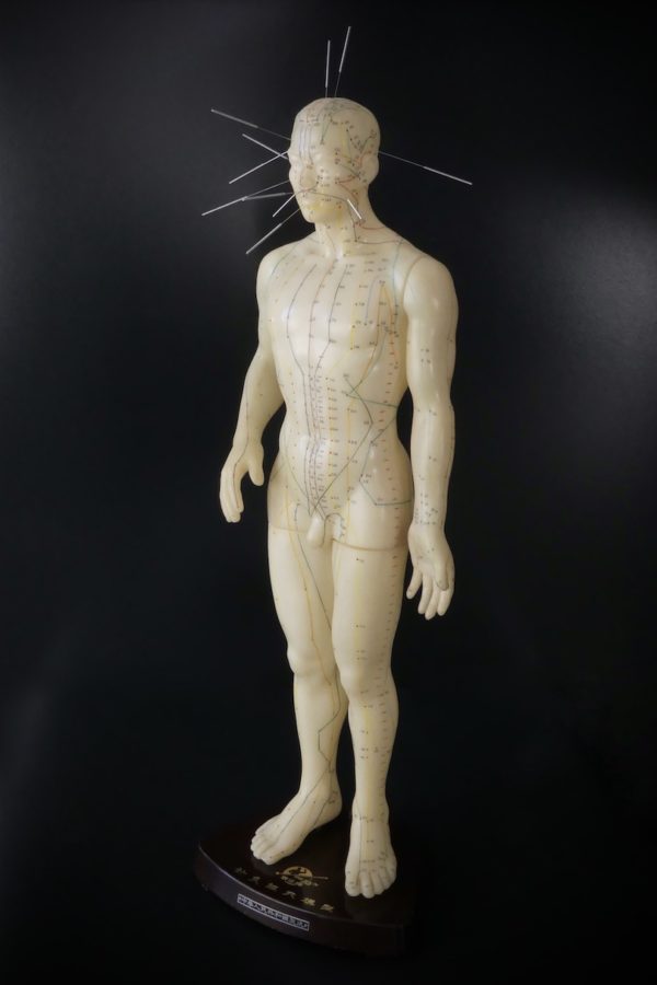 Mannequin d’acupuncture homme chinois (3/4)