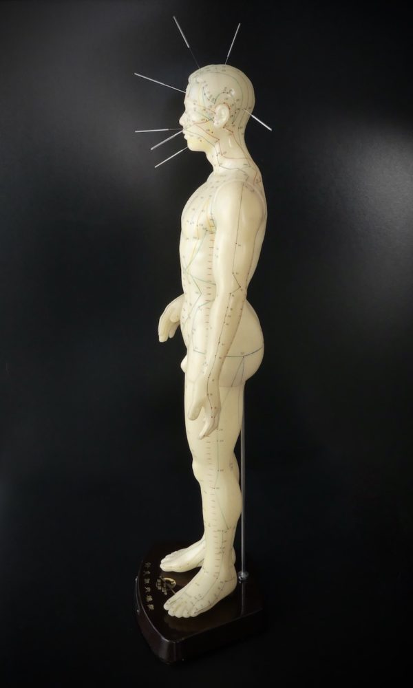 Mannequin d’acupuncture homme chinois (profil)