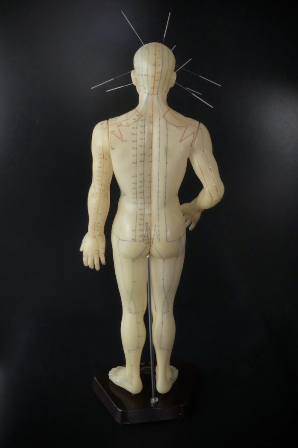 Mannequin d’acupuncture homme chinois (dos)