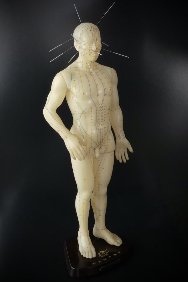 Mannequin d’acupuncture homme chinois (3/4)