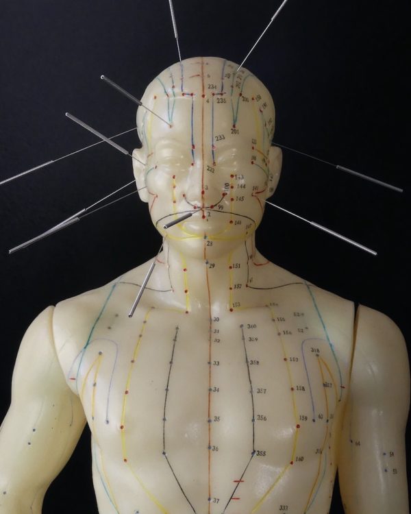 Mannequin d’acupuncture homme chinois (détail)