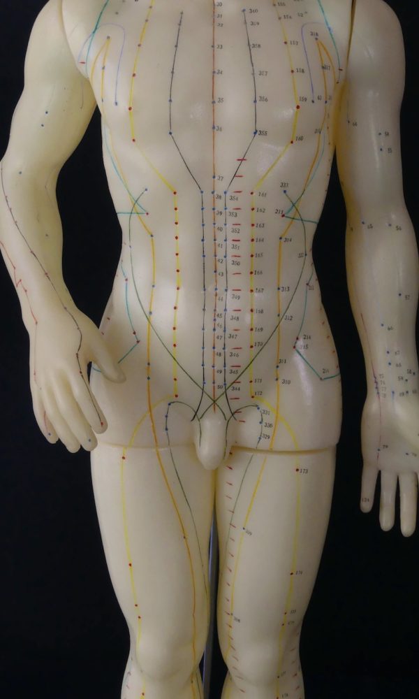 Mannequin d’acupuncture homme chinois (détail)