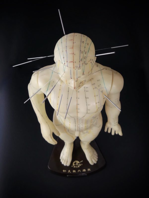 Mannequin d’acupuncture homme chinois (dessus)
