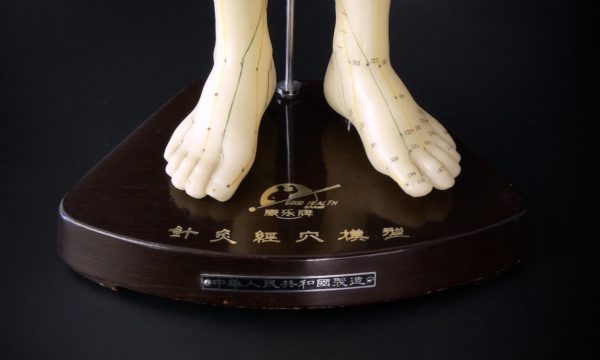 Mannequin d’acupuncture homme chinois (détail)