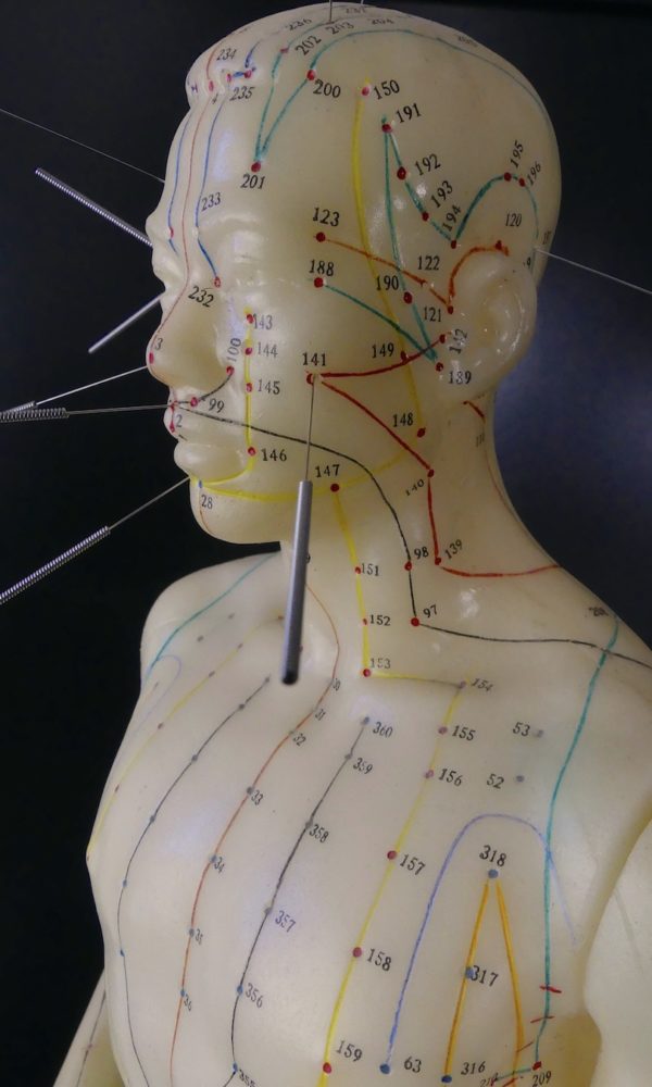 Mannequin d’acupuncture homme chinois (détail)