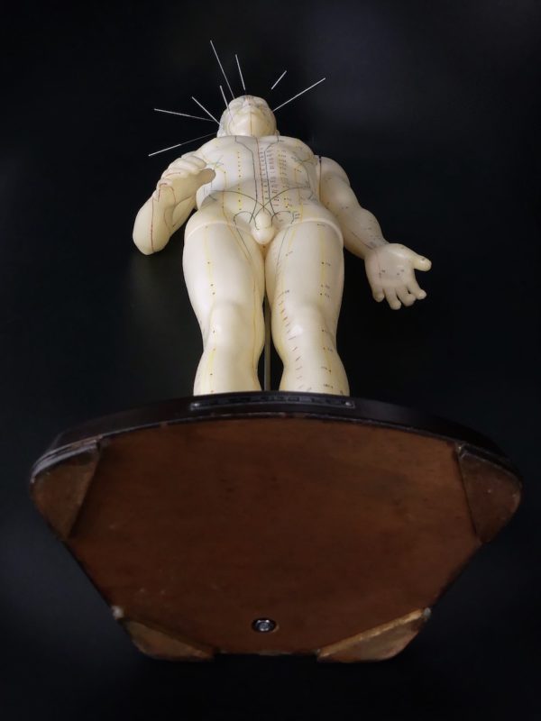 Mannequin d’acupuncture homme chinois (dessous)