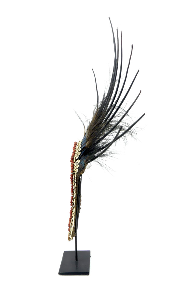 Collier papou à plumes coquillages pics de porc-épic (profil)