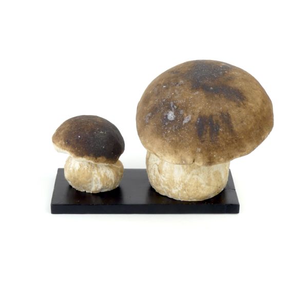 Bolets vintage en papier mâché (dos)