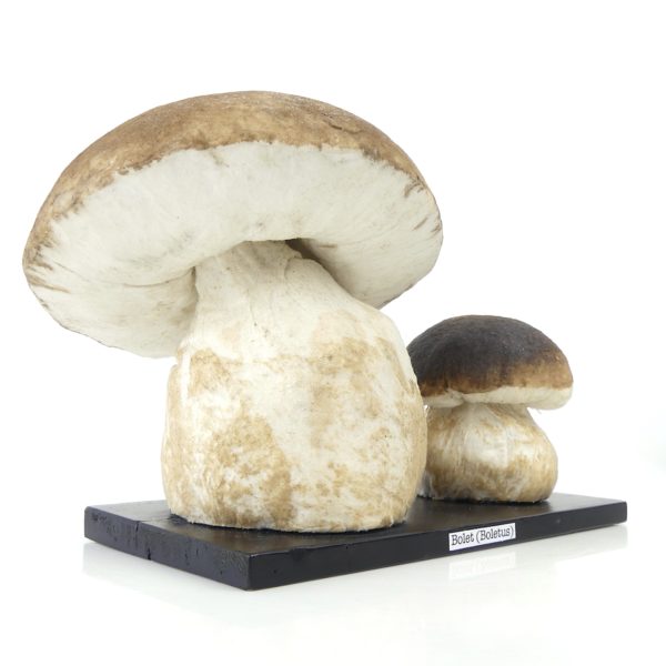 Bolets vintage en papier mâché (3/4)