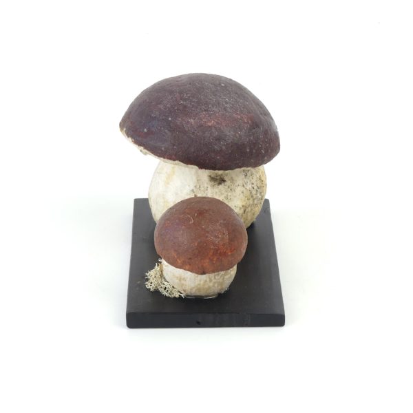 Cèpes bronzés vintage en papier mâché (profil)