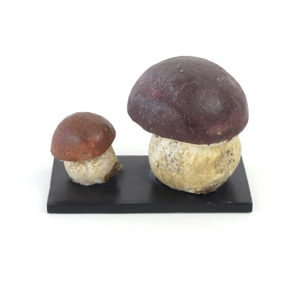 Cèpes bronzés vintage en papier mâché (dos)