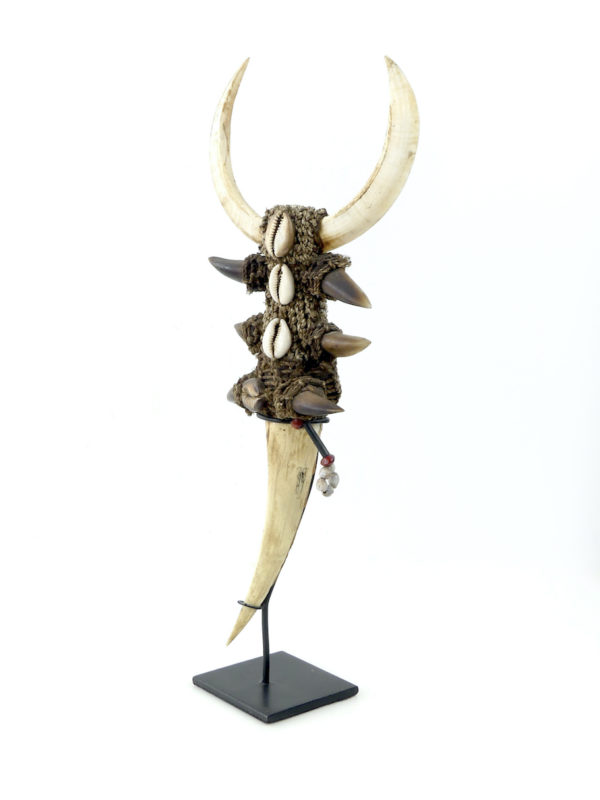 Tun Tun rituel papou en os dents griffes cauris sur socle (3/4)