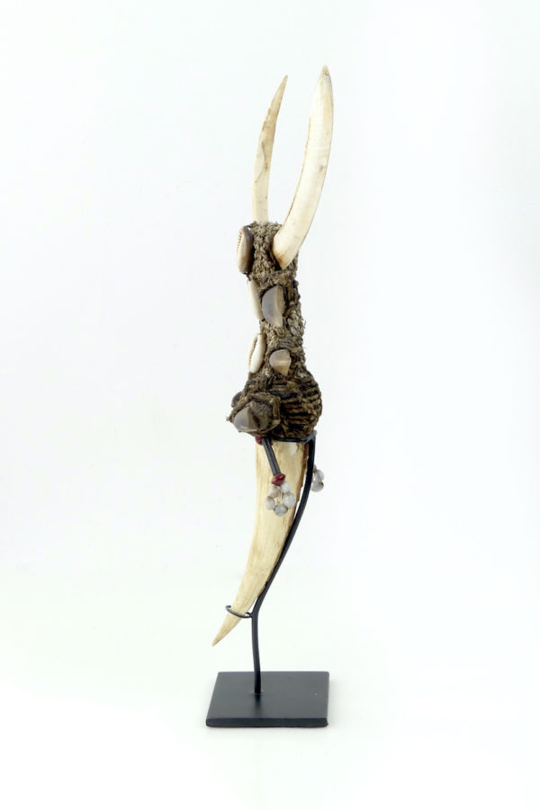 Tun Tun rituel papou en os dents griffes cauris sur socle (profil)
