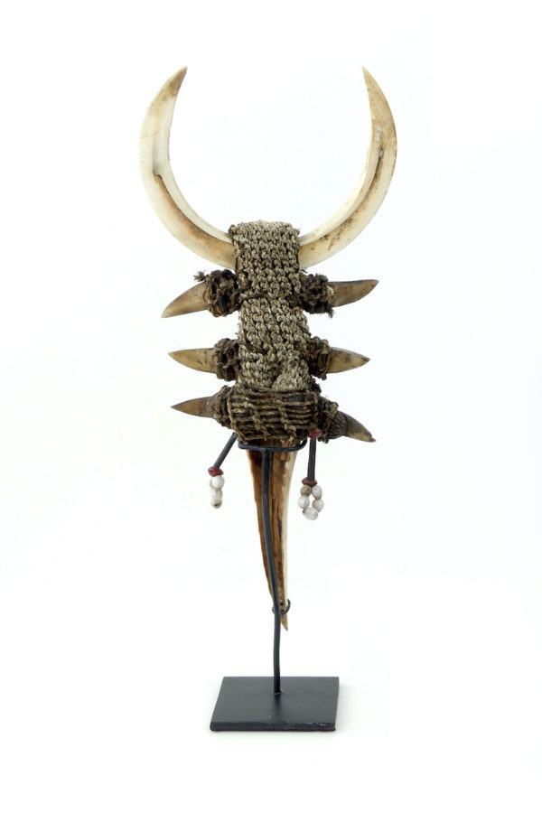 Tun Tun rituel papou en os dents griffes cauris sur socle (dos)