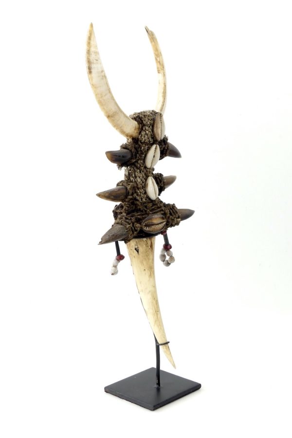 Tun Tun rituel papou en os dents griffes cauris sur socle (3/4)