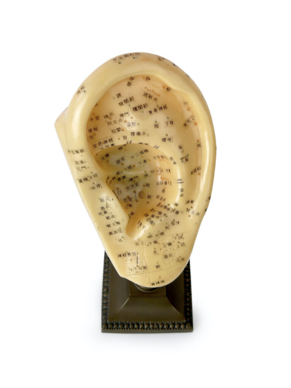 Oreille d’acupuncture chinoise en PVC souple et pied en bronze (dessus)