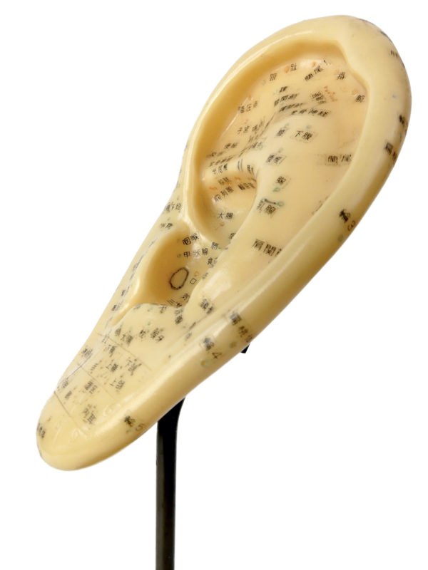 Oreille d’acupuncture chinoise en PVC souple et pied en bronze (détail 3/4)