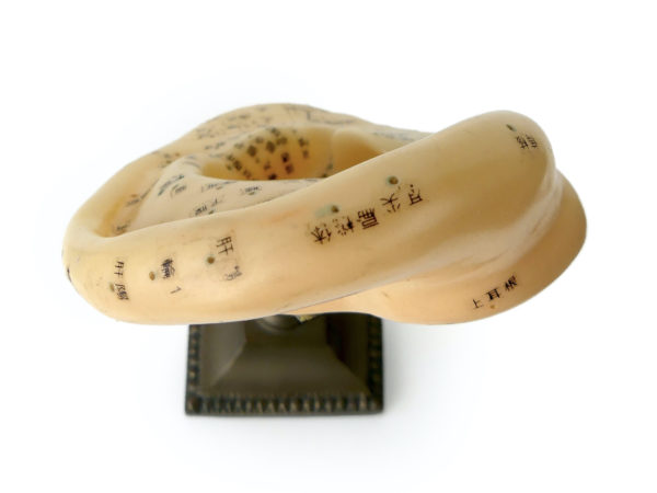 Oreille d’acupuncture chinoise en PVC souple et pied en bronze (dessus)