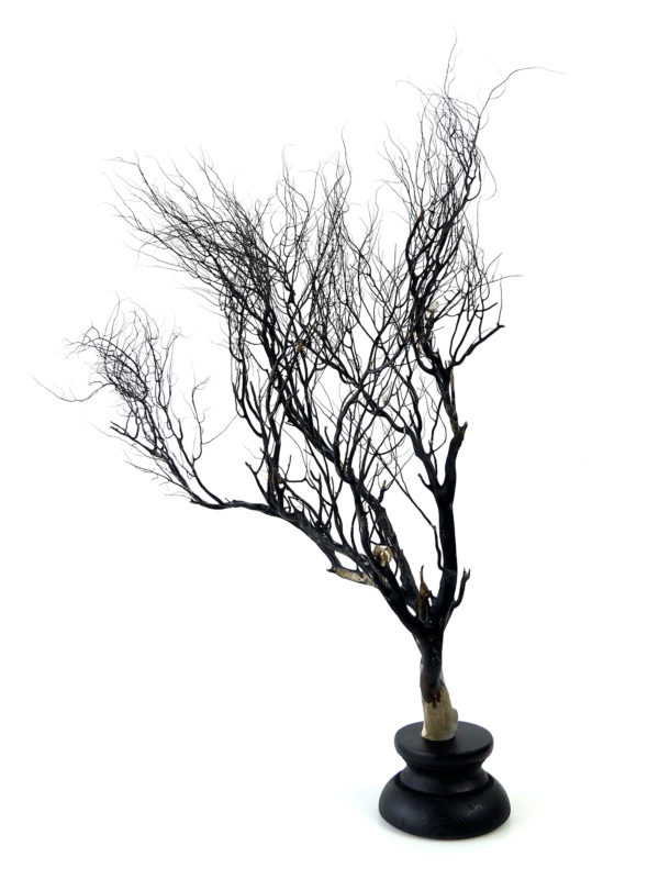 Gorgone noire sur pied noir en bois tourné (3/4)