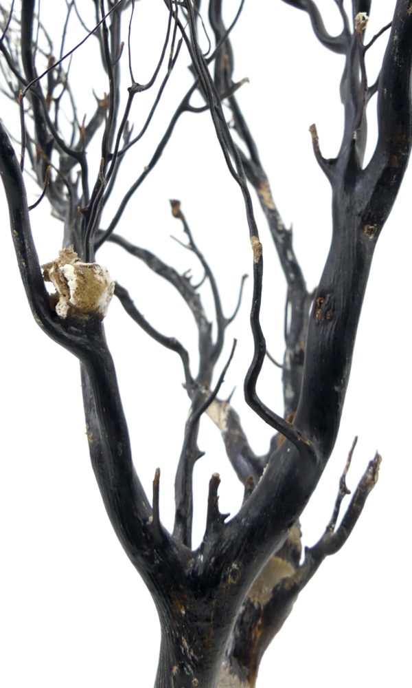 Gorgone noire sur pied noir en bois tourné (détail)