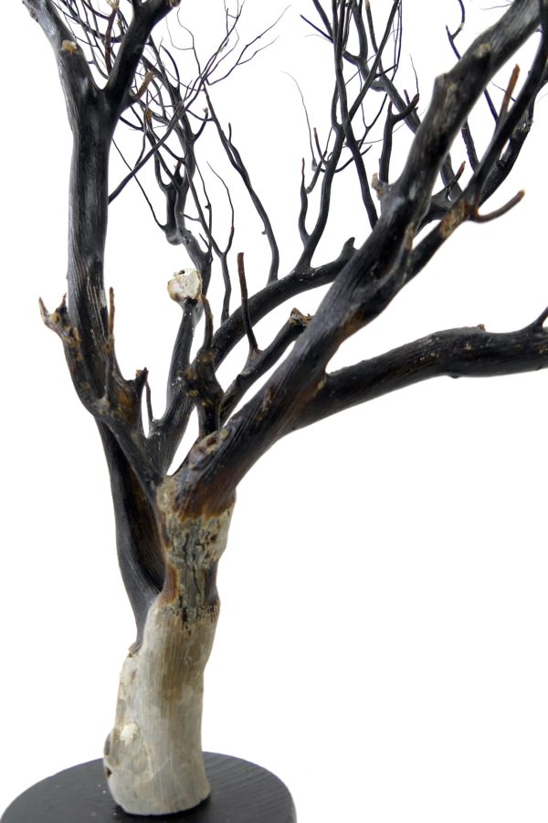 Gorgone noire sur pied noir en bois tourné (détail)
